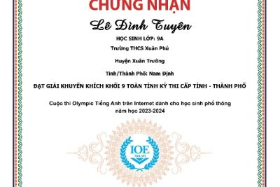KẾT QUẢ THI IOE CẤP TỈNH NĂM HỌC 2023-2024